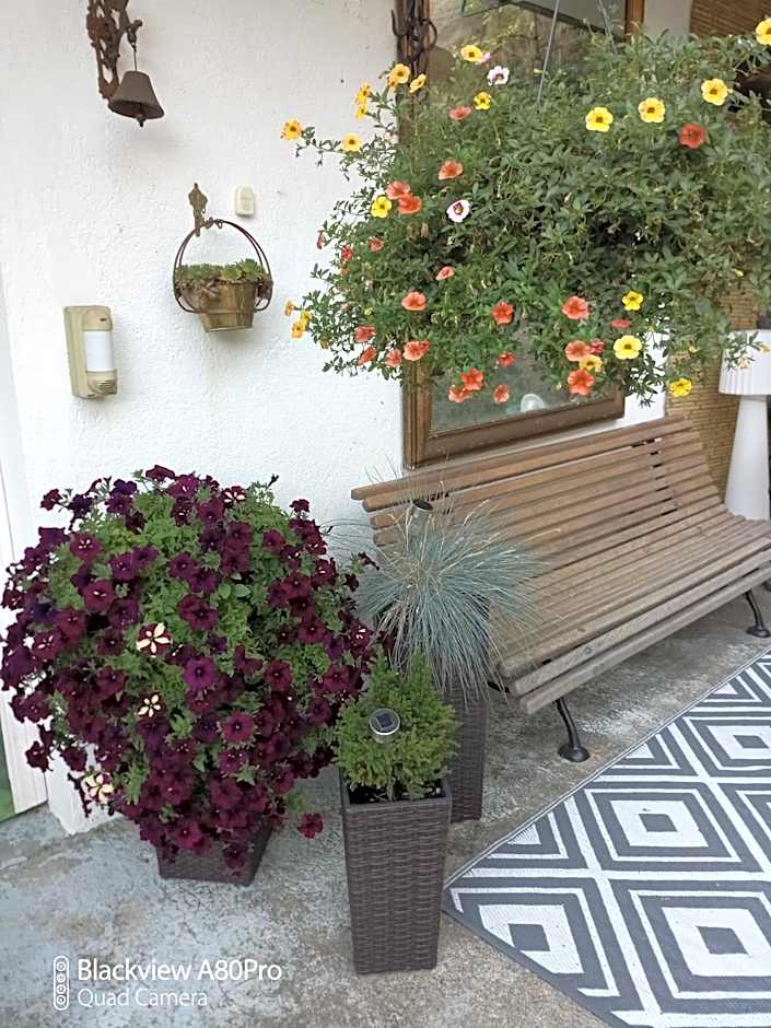 Chambre Bounty cuisine privée, salle d'eau, terrasse, garage