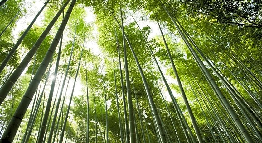 Kyoto Arashiyama Ranzan Hotel