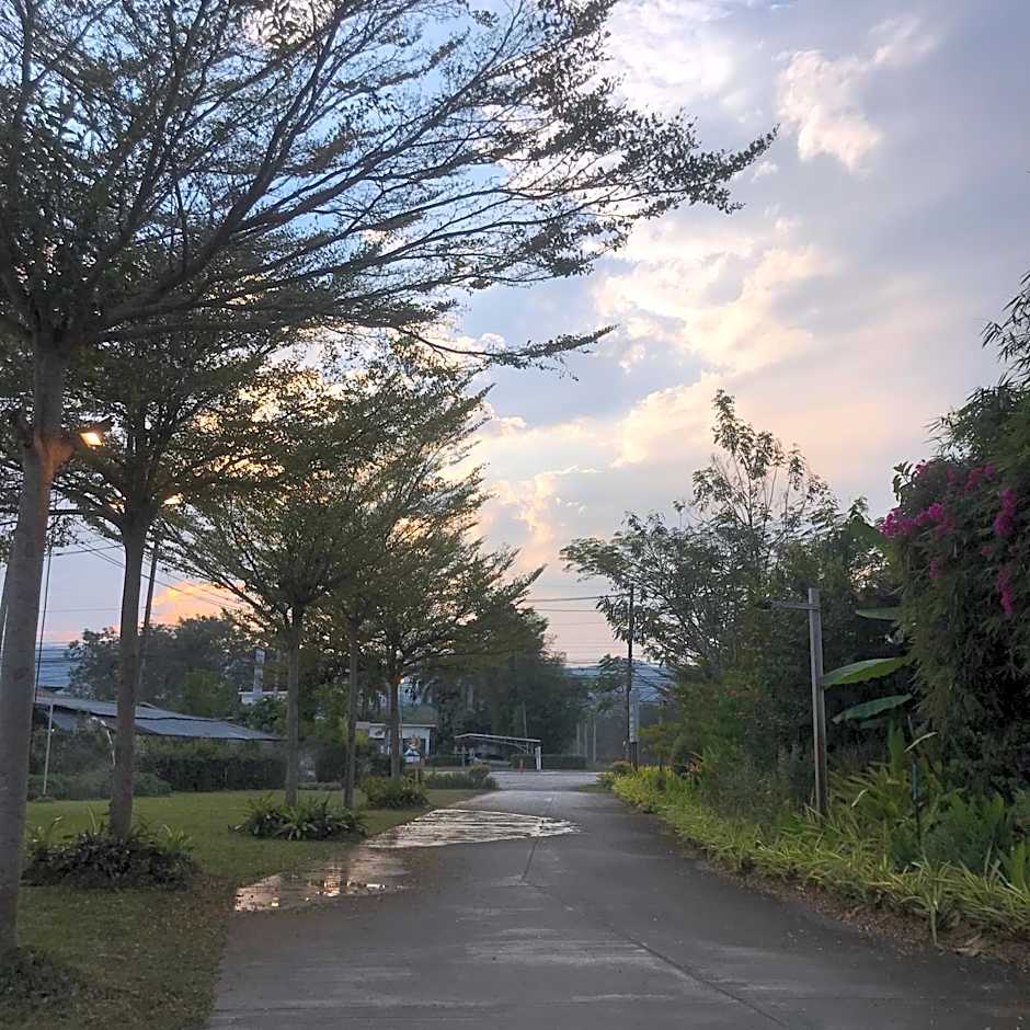 Chiangdaoplace