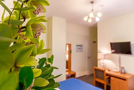Business Twin Room