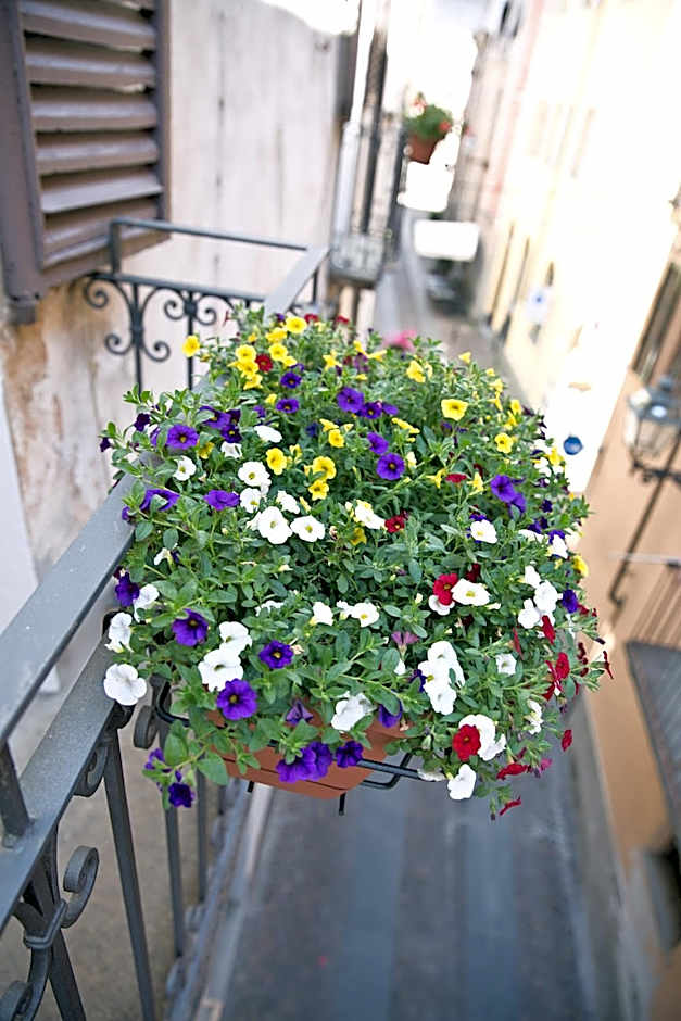 Osteria Senza Fretta Rooms for Rent