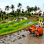Bali Bening