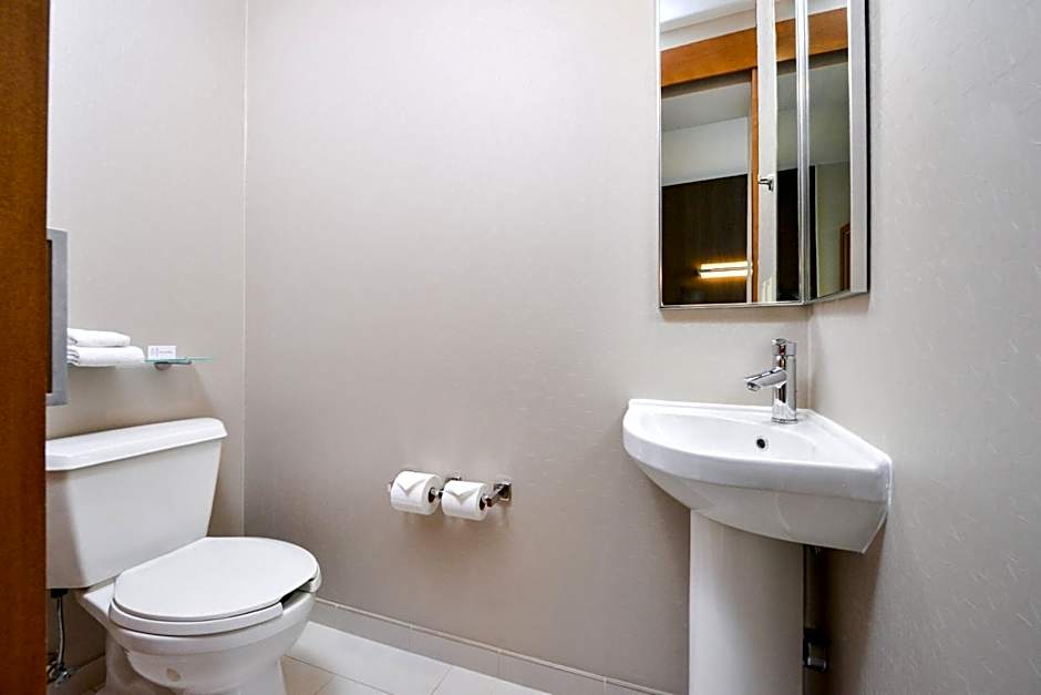 SpringHill Suites by Marriott Ashburn Dulles North