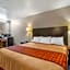 Rodeway Inn Clearwater-Largo