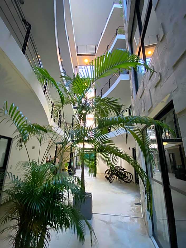 Sole Suites