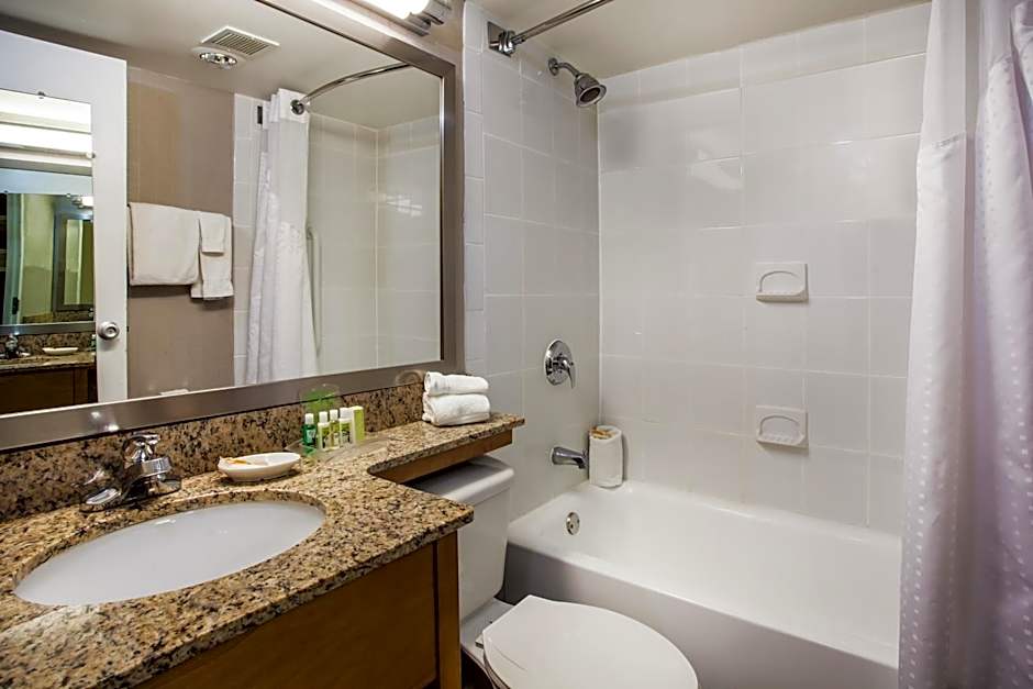 Holiday Inn Saratoga Springs By IHG