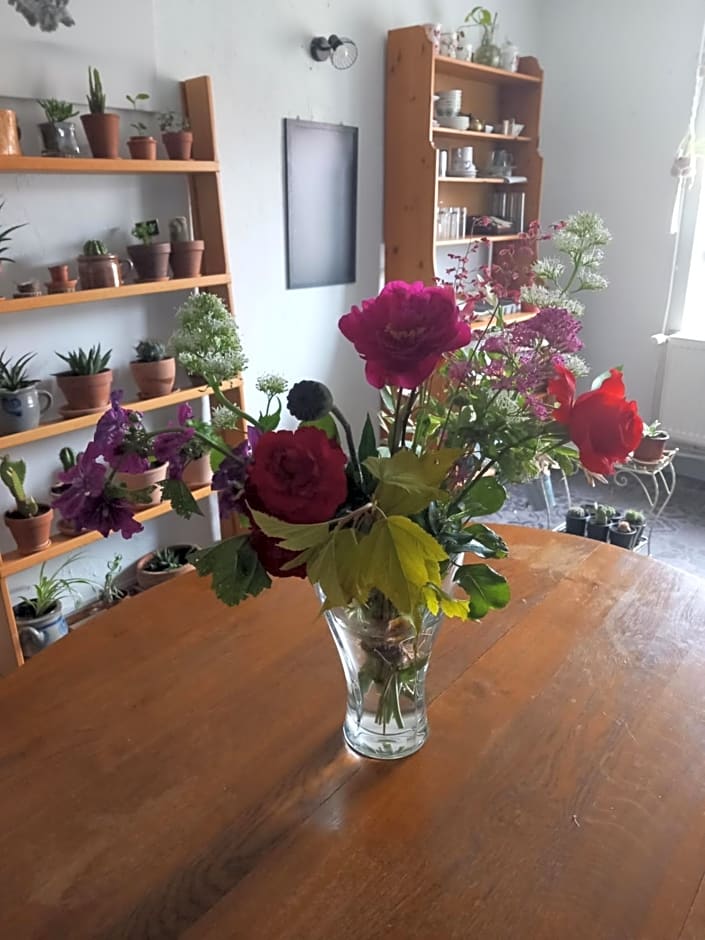 Relais de la Mothe LA SUITE