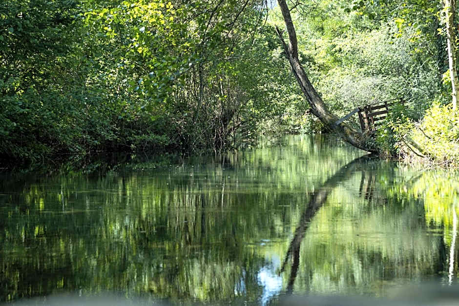 Riba Rio - Unique Nature Spot