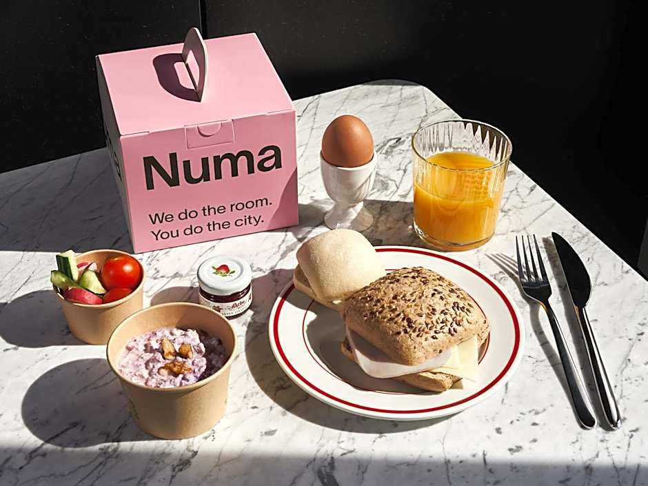 Numa Berlin Boxer