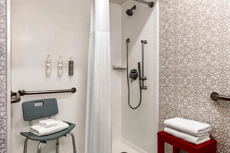 1 King Accessible Roll In Shower Non-Smoking