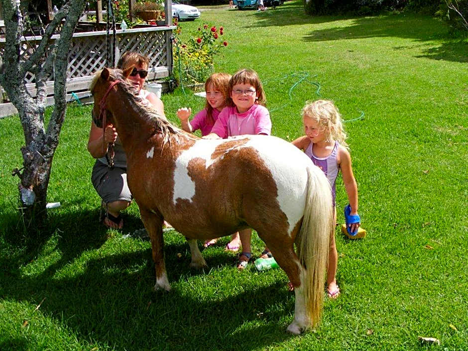 Pukenui Holiday Park