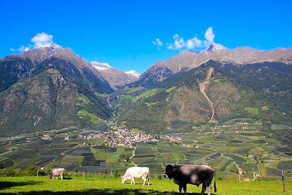 Residence Sonnenburger - Biobauernhof - Azienda agricola biologica