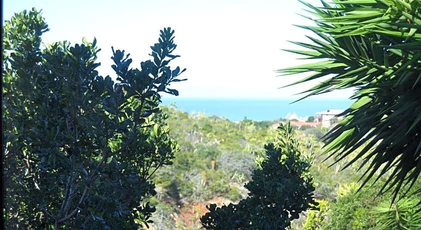 Dolphin View Guesthouse