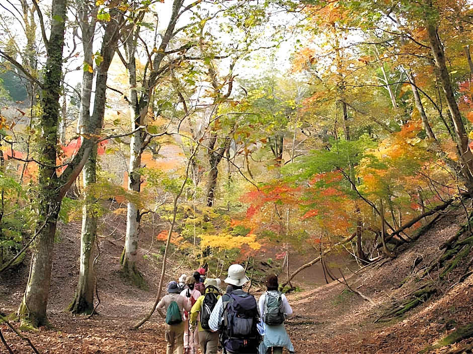 Miyama Town Nature Cultural Village Kajikaso