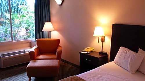 Vista Inn And Suites Tampa