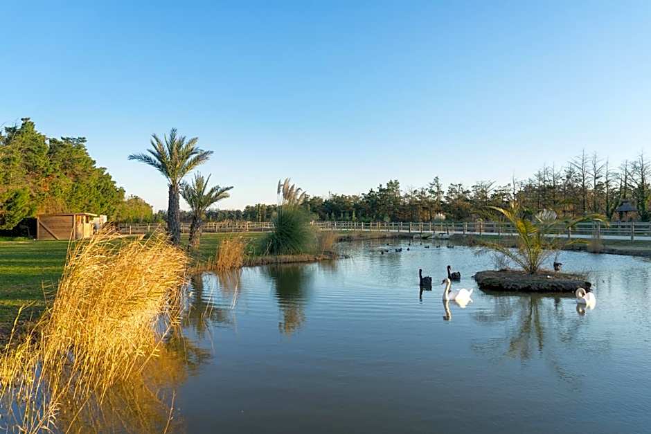 Abri Cosy - Suite Romantique en Camargue