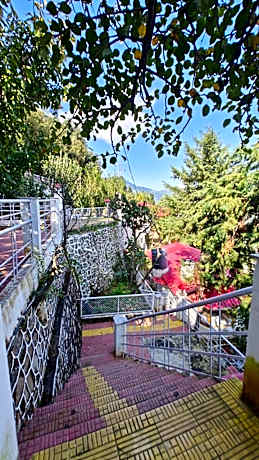 MY PEACH WOOD HOTELS & RESORTS