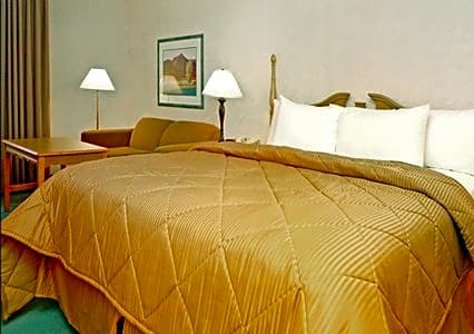 Comfort Inn Salt Lake Airport/ International Center