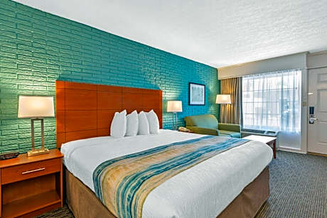 King Room with Roll-In Shower - Mobility Access/Non-Smoking