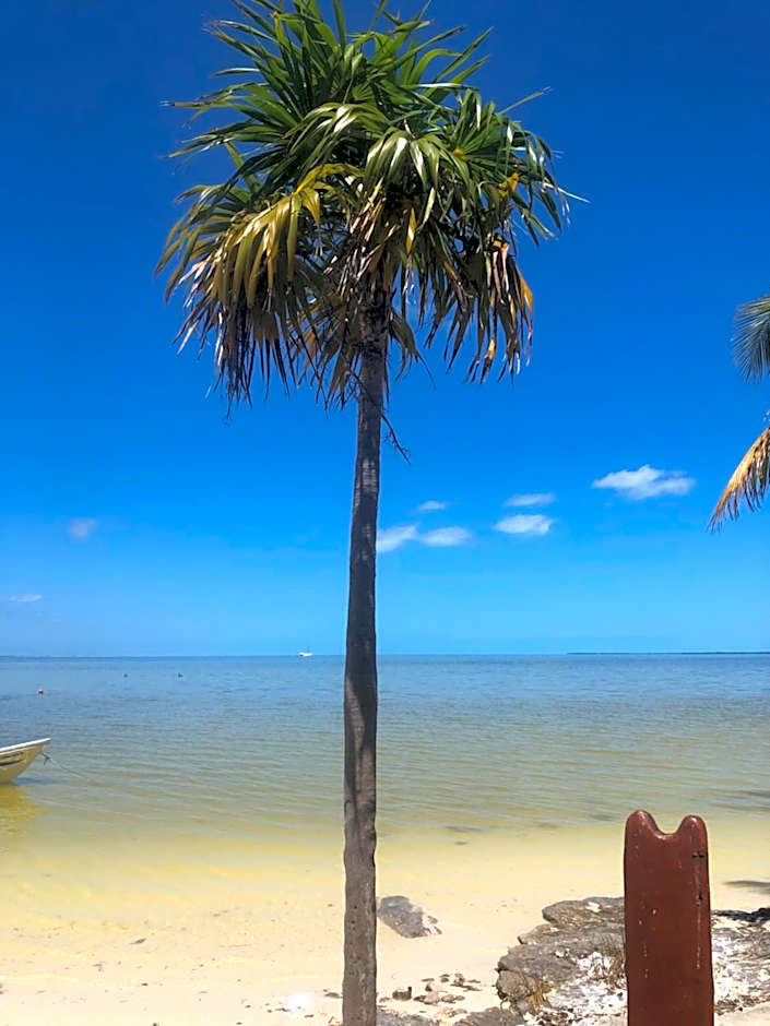 Ikarus Costa Mujeres Eco Lodge Sunset View