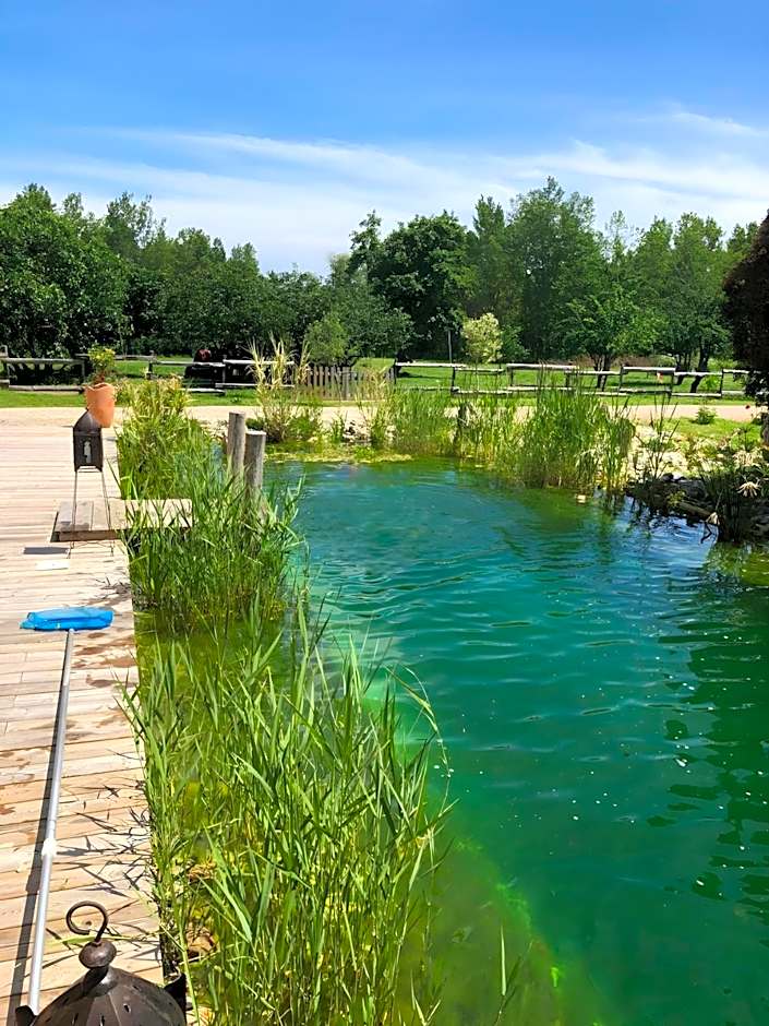 Château Fourclins Domaine privatif 16 personnes Parc & Bassin naturel Proche Toulouse
