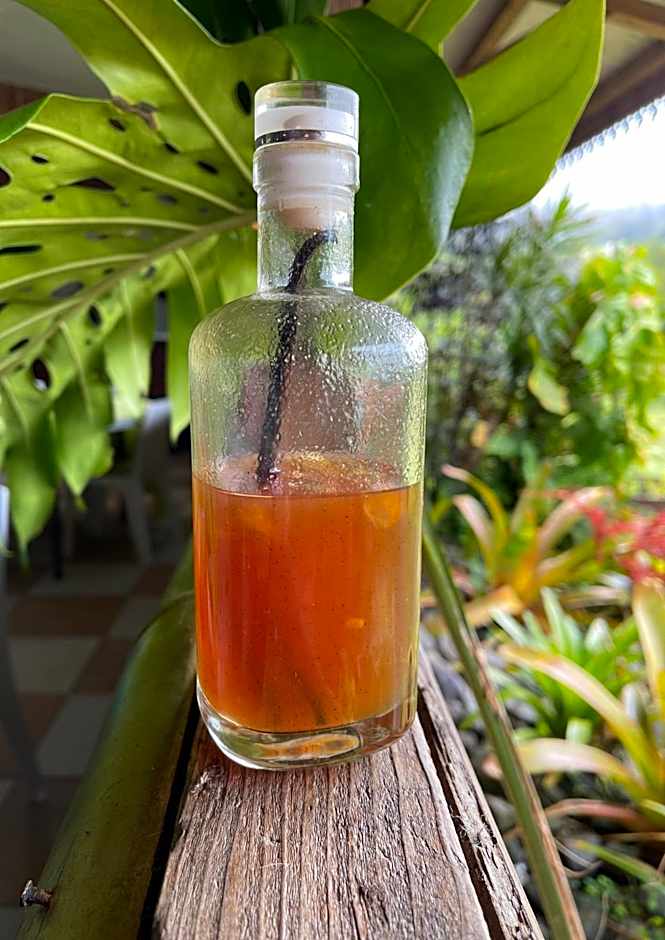 LE DOMAINE DE LA VALLEE