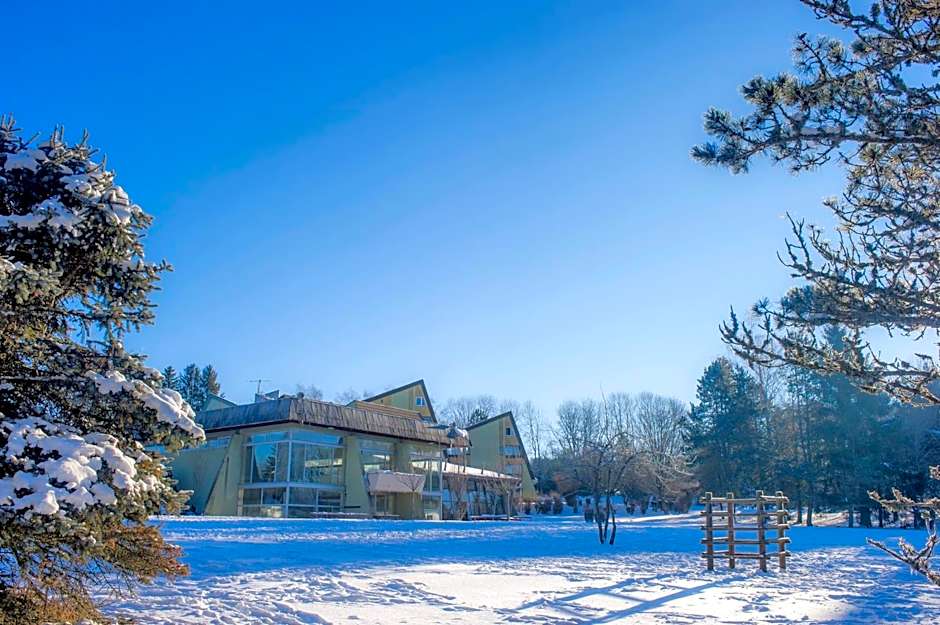 VTF Le Domaine des Puys