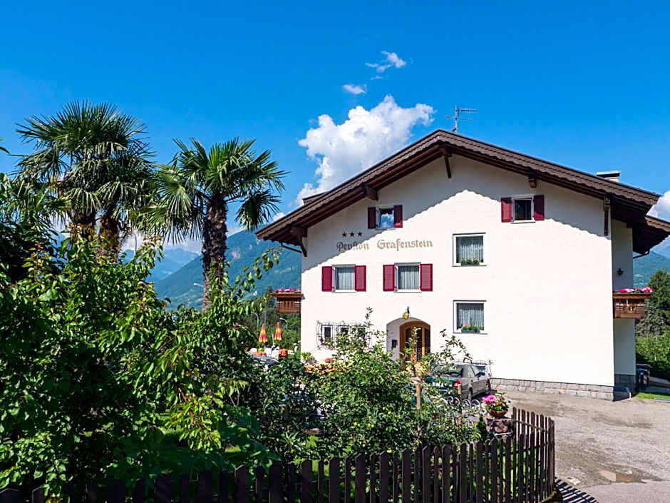 Guesthouse Pension Grafenstein