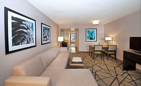 2 Room Suite-1 King Bed-Nonsmoking