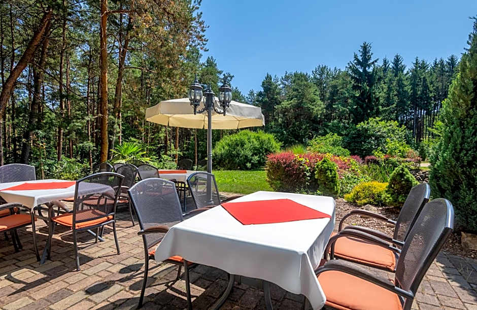 Gosztola Gyöngye-az erdő szállodája