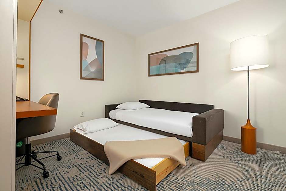 SpringHill Suites by Marriott McAllen Convention Center