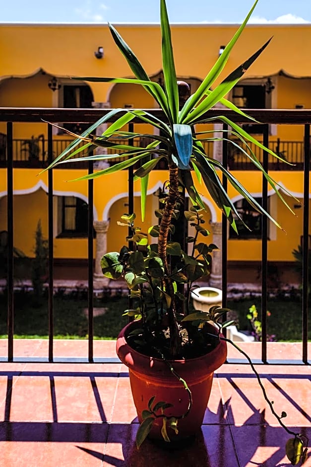 Hotel Montejo