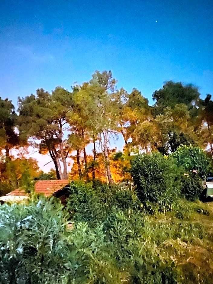 HavaSuPark Bungalows