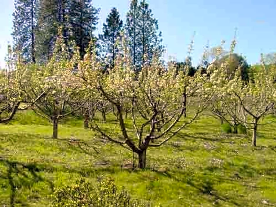 Apple Blossom Inn Yosemite