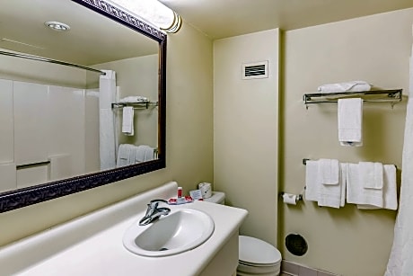 1 King Bed, Suite, No Smoking