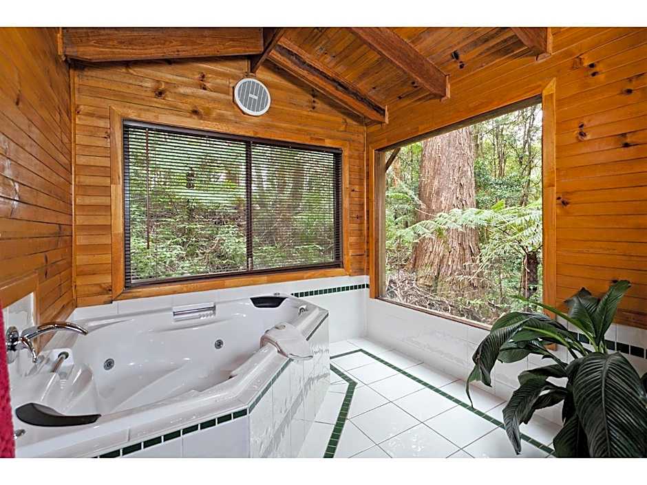 The Mouses House Rainforest Retreat