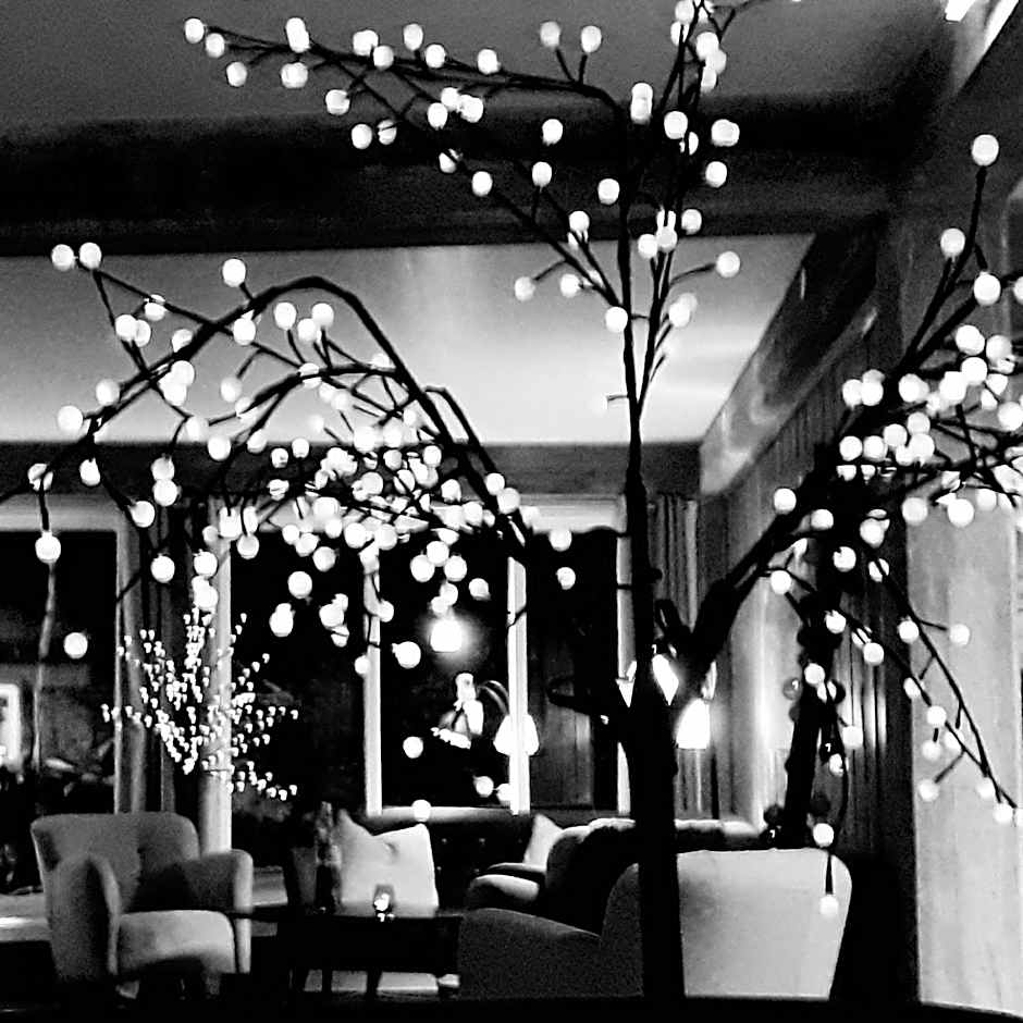 Haukeli Hotel
