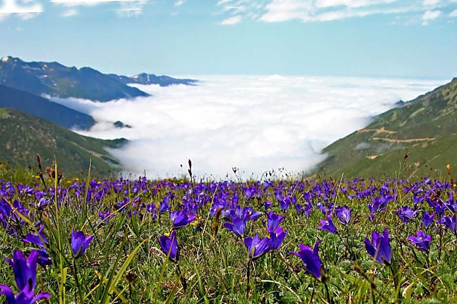 Teona Bungalow & Restaurant