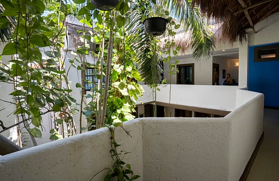Posada Mariposa Boutique Hotel - 5th Avenue