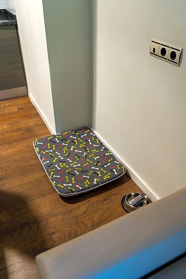 Hotel y Apartamentos SNO Isaba