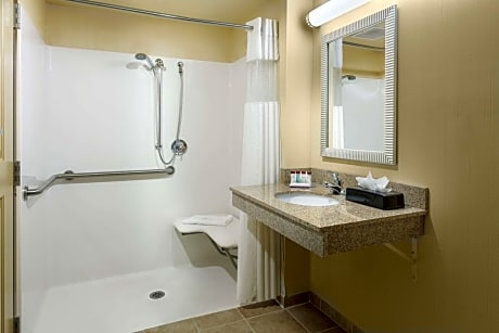 King Suite with Roll - In Shower - Disability Access