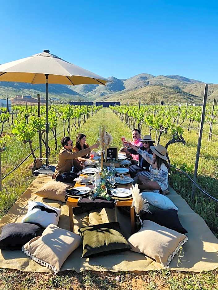 The Pangea Valle de Guadalupe