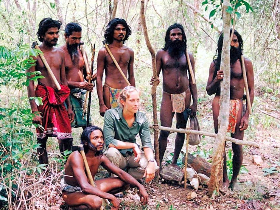 Explorer by Eco Team - Dambana