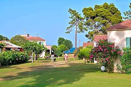 Pinea Mare