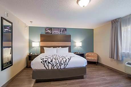 1-Bedroom King Suite Nonsmoking