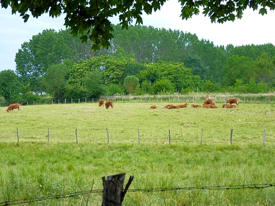 La laiterie du Logis