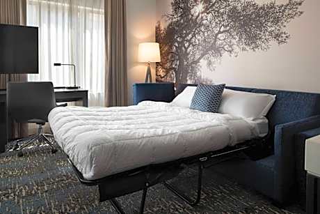 One-Bedroom Queen Suite with Sofa Bed and Adapted Tub - Mobility Accessible