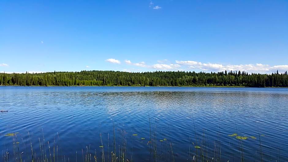 Wettstone Guest Ranch