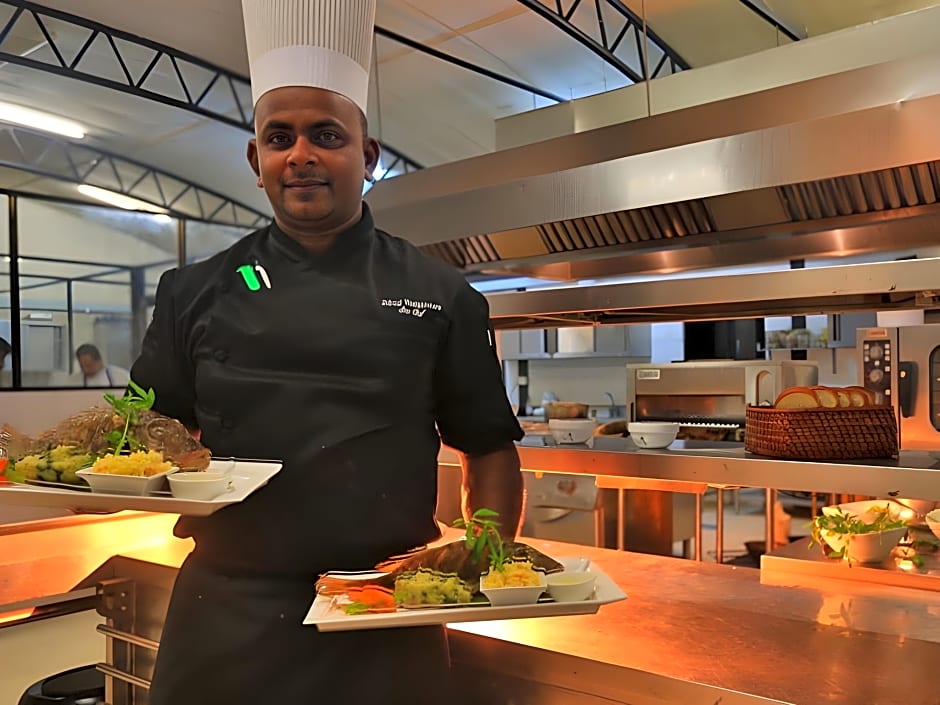 The Rainforest Ecolodge