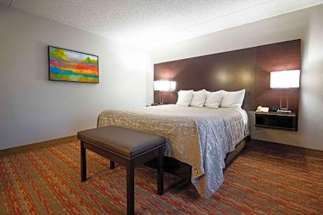 1 King Bed Suite First Floor Non-Smoking